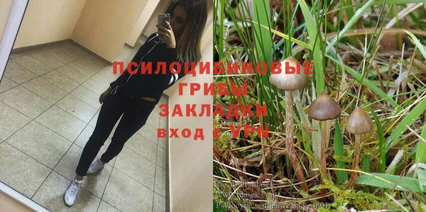 трава Баксан