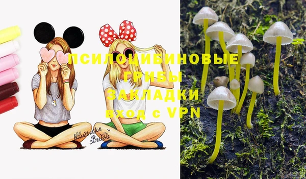 трава Баксан