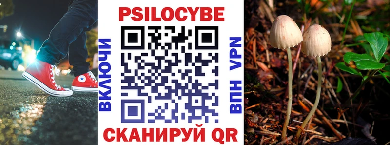 закладки  Соль-Илецк  Псилоцибиновые грибы GOLDEN TEACHER 