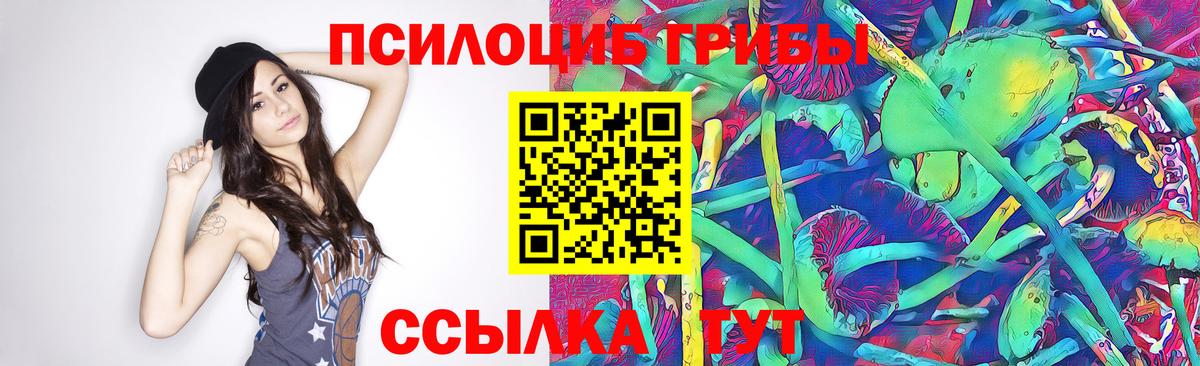 Соль-Илецк  Псилоцибиновые грибы Psilocybine cubensis  Вход с VPN 